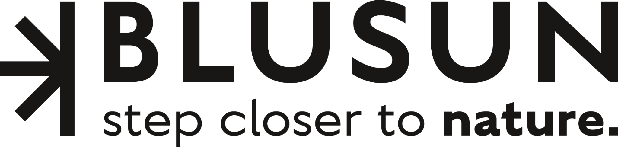 Blusun GmbH